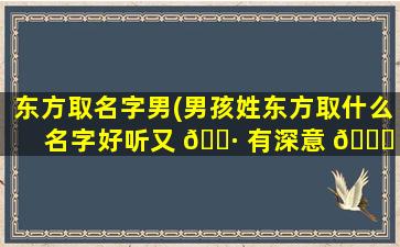 东方取名字男(男孩姓东方取什么名字好听又 🕷 有深意 🐈 )